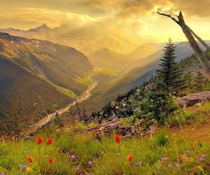 Peaks and Valleys of Life