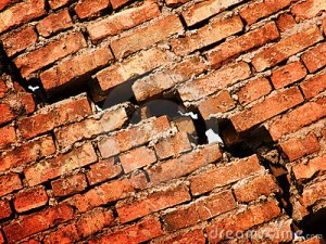 Competitive environments are toxic