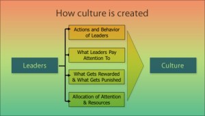 Organizational Culture 